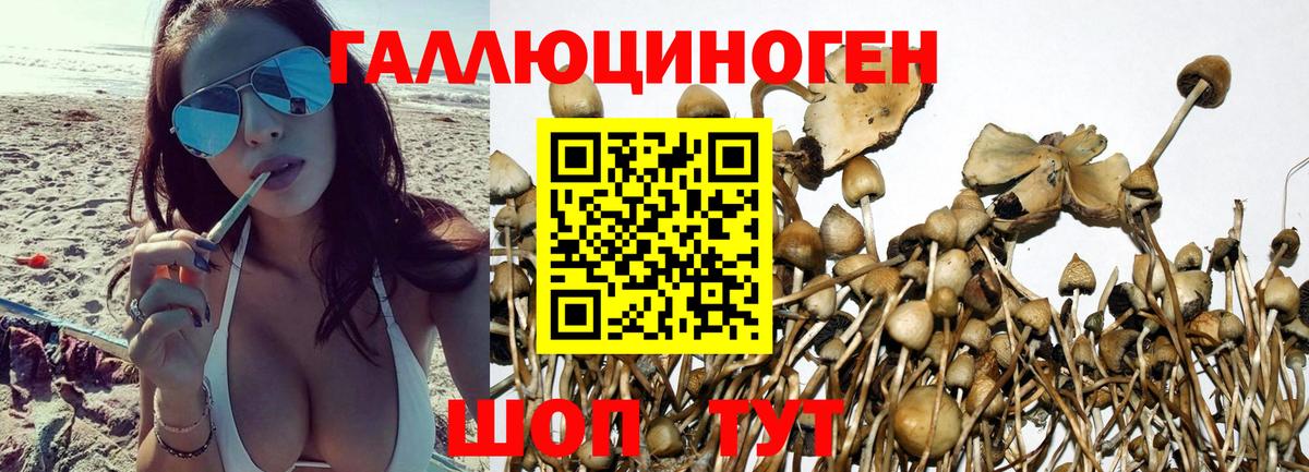 Псилоцибиновые грибы прущие грибы Протвино