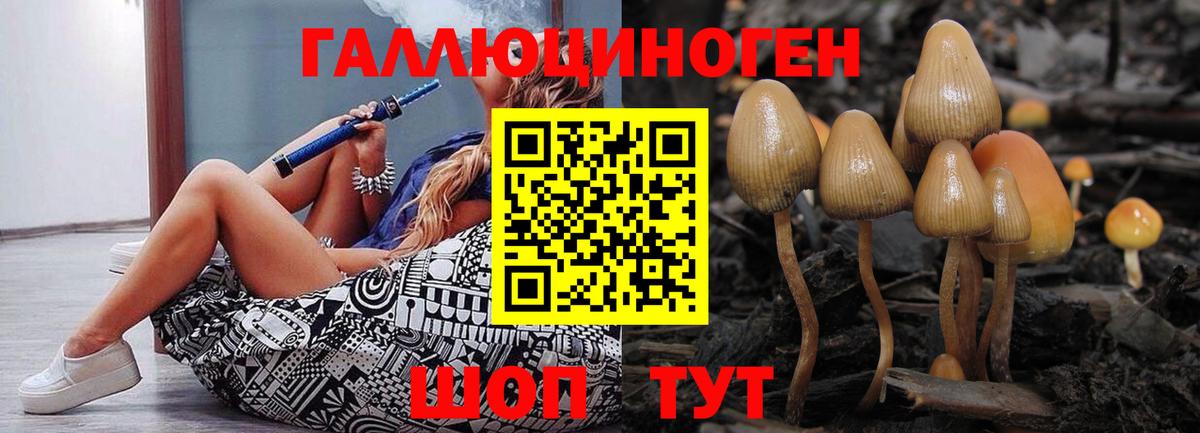 Галлюциногенные грибы мухоморы  Вход с VPN  Псилоцибиновые грибы Cubensis  Протвино 